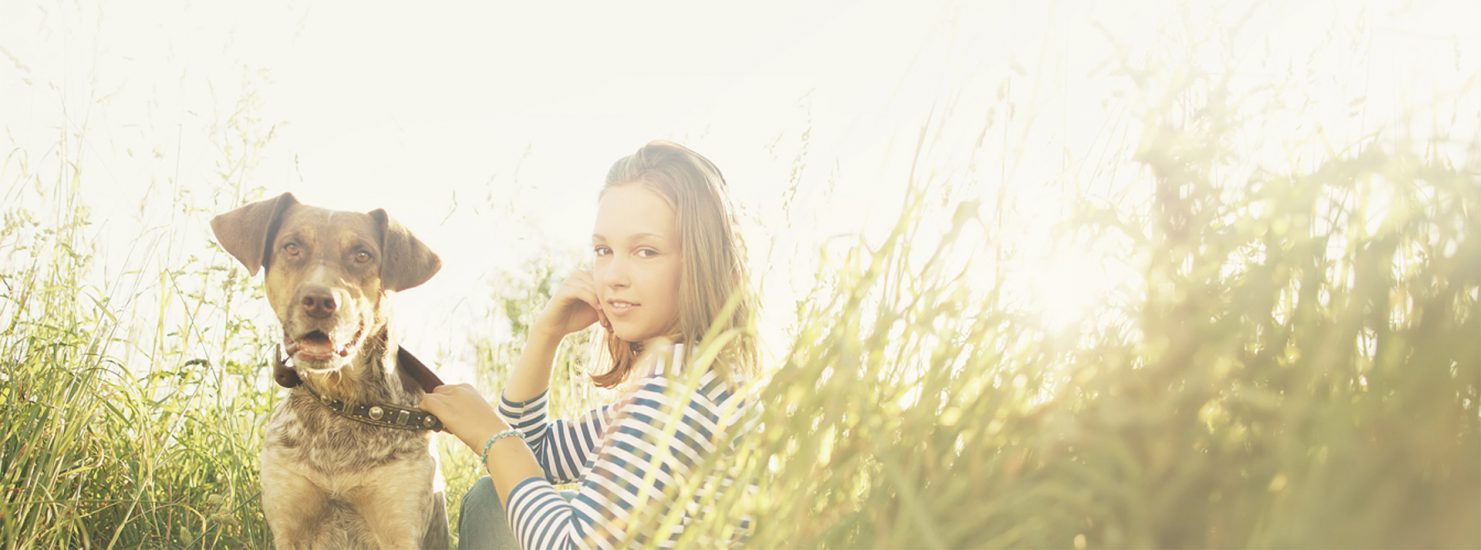 Marin County Dog, Cat Boarding, Pet dog Kennels Novato